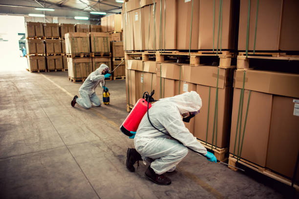 Professional Pest Control in Lynwood, CA